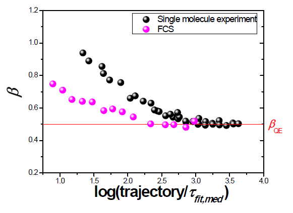 형광 상관 분광법과 단일 형광 분자 추적 실험으로부터 얻은 trajectory length dependence에 따른 β의 변화