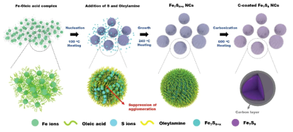 one-pot colloidal 합성을 통한 초미립 Fe7S8@C NCs의 제작 도식화