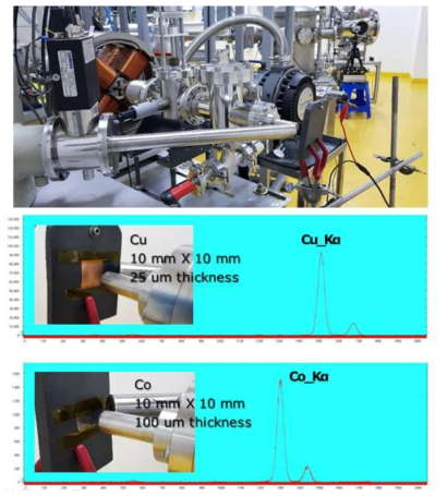 외기빔 PIXE를 이용한 Cu, Co 금속시료 측정