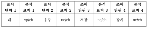 ‘대-^용량^저장^장치’의 분석 예시