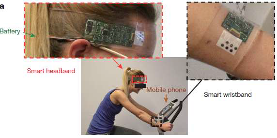 배터리와 센서가 분리된 최신 웨어러블 나노바이오센서 [Nature, 2016]