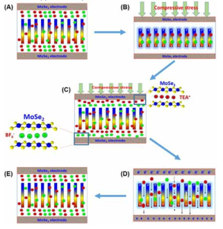 Schematic illustration for the working mechanism of the self-charging of SCSPC device. (A) The initial state of the MoSe2 SCSPC device with no applied compressive force. (B) With an applied compressive force to the MoSe2 SCSPC device, the NaNbO3/PVDF creates a piezoelectric potential which drives the migration of electrolyte ions. (C) the electrolyte ions drive towards the electrode and electrochemical intercalation of ions in the MoSe2 electrode. (D) An equilibrium state has been reached between the piezoelectric potential created and the electrochemical reaction of the MoSe2 SCSPC device. (E)Completion of one self-charging cycle with the compressive force applied is released, and the piezoelectric potential disappeared, and the electrolyte ions reach the equilibrium state