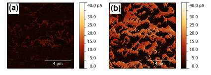 (a) TiO2와 (b) Al doped TiO2 박막의 Conductive-AFM 이미지