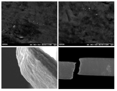 [보고서]박막 재료의 인장 및 피로 시험을 위한 in-situ SEM 시험기 개발