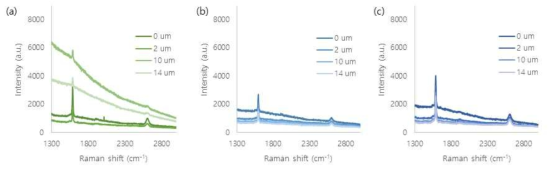 소포자 내 나노입자 투과 확인을 위한 confocal Raman spectroscopy 분석. (a) 8 mg/L, 1 h incubation, (b) 3 mg/L, 2 h incubation, (c) 3 mg/L, 6 h incubation