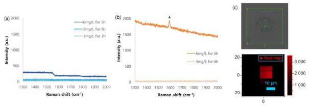 표면전하에 따른 소포자 내 나노입자 투과 확인을 위한 confocal Raman spectroscopy 분석. (a) negatively charged CNT, (b) neutral charged CNT, (c) neutral charged CNT가 투과된 소포자의 Raman spectrum map (G-band at 1590 cm-1)