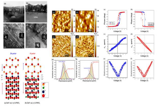 ZnO/(+z)LiNbO3 과 ZnO/(-z)LiNbO3 박막의 HR-TEM, AFM, 및 PFM data