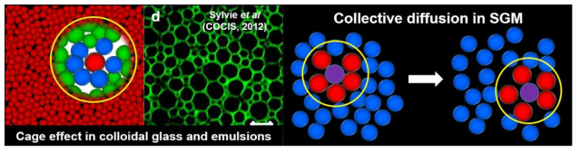 (좌) Colloidal glass와 emulsion에서의 cage effect , (우) Brownian Dynamics 시뮬레이션을 통해서 관찰된 Soft Glassy Material에서의 집단적 확산 거동 (Collective diffusion)