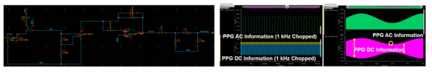 Cadence 시뮬레이션을 이용한 ppg 신호 Chopping 회로 검증. 1Hz 주기의 ppg AC와 ppg DC가 Chopping에 의해 다른 Interference의 영향 없이 필터링 후 정상적으로 검출됨