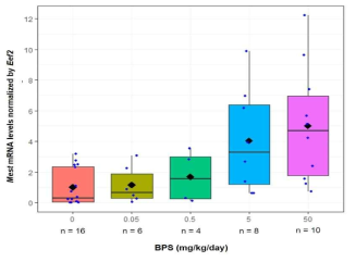 BPS 산전노출 F1 수컷 마우스의 백색지방조직에서 각인 유전자 Mest mRNA의 BPS 노출량 의존적 증가 양상