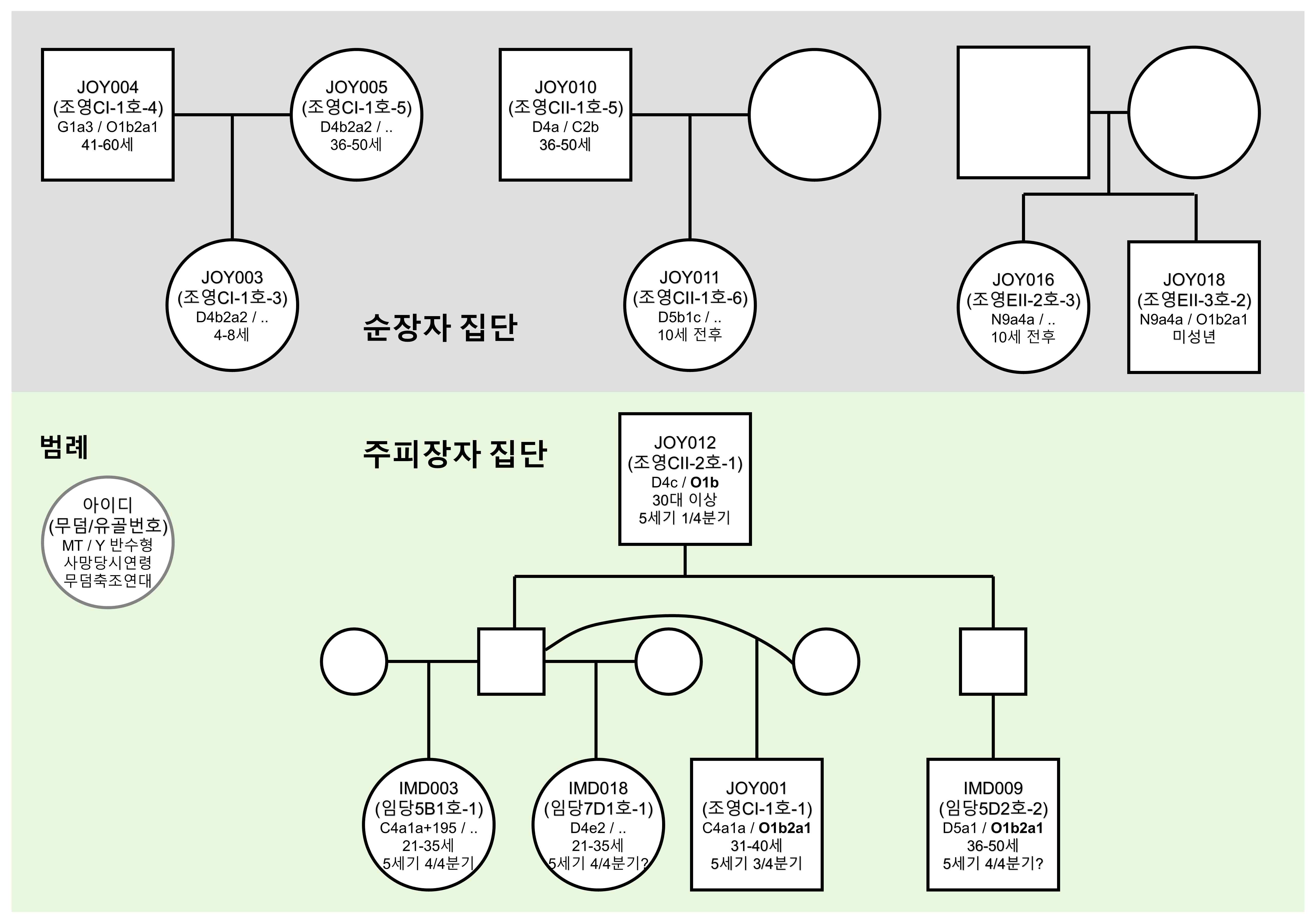 주피장자와 순장자 집단에서 나타난 가족 구성. 순장자 집단은 1st degree 개체쌍이 많이 발견되었고, 주피장자 집단은 부계 확대가족을 구성함을 확인