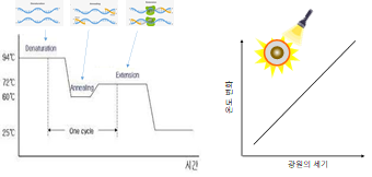 DNA 증폭을 위한 PCR의 온도 제어 그래프 및 광원의 세기와 발생열의 상관관계