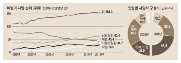 2018년 국내 사망원인 3위 폐렴 (출처 : 통계청 2018년 사망원인통계)