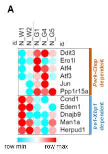 LRRK2-GS로부터 얻은 astrocytes에 tunicamycin 처리 후 시행한 microarray