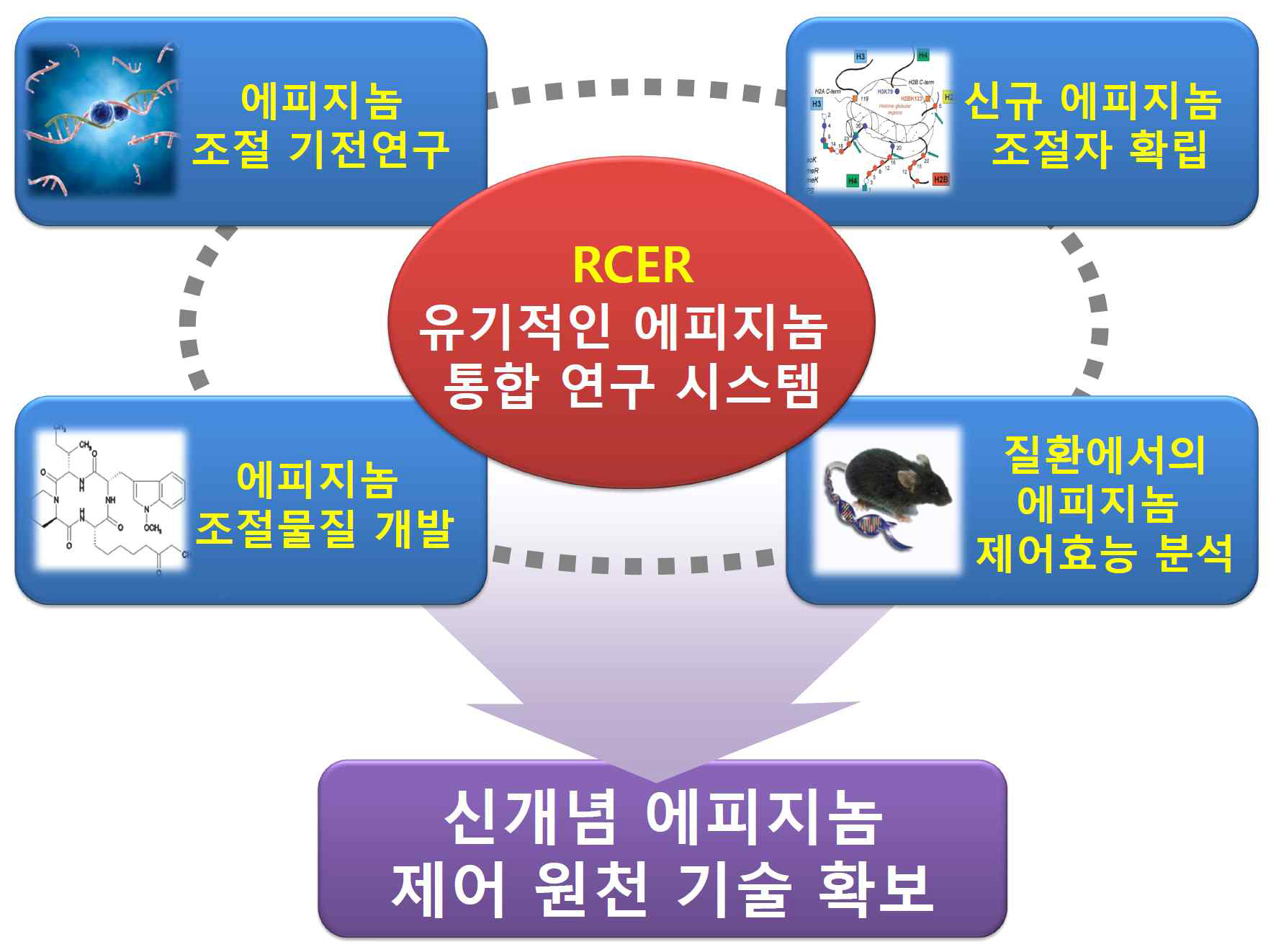 본 센터의 연구 시스템