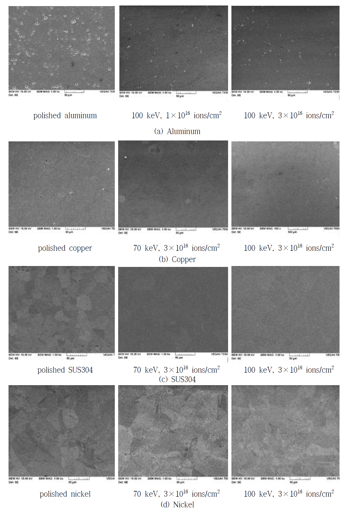 크롬 이온조사에 따른 여러 금속 표면의 SEM image