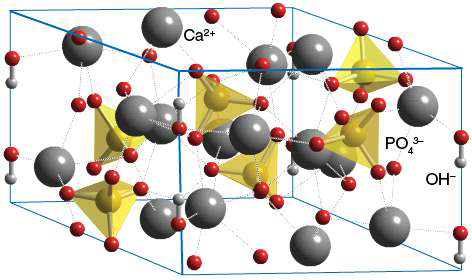 Hydroxyapatite의 구조모형