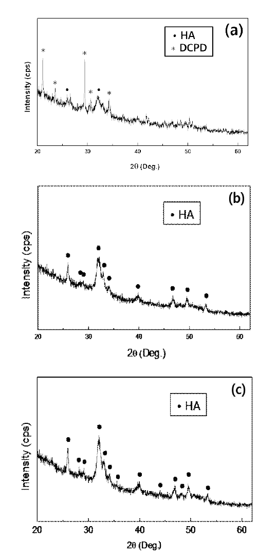 각기 다른 Ca/P 비율을 갖는 합성분말들의 XRD 상합성 결과: (a) Ca/P = 1.4, (b) Ca/P = 1.5 and (b) Ca/P = 1.67