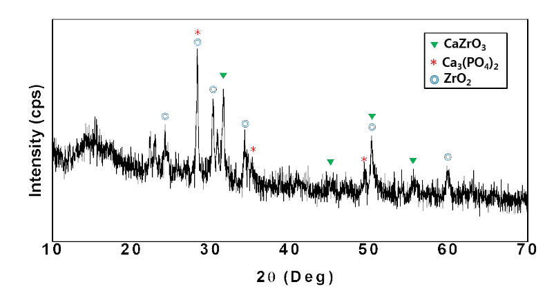 HAp 시멘트와 Zr 금속간의 초고온(3000℃) 가솔린-산소 torch 실험 후 측정한 x-ray 회절도
