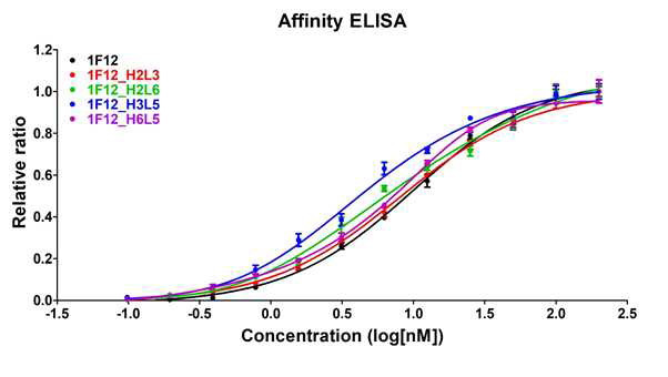 친화도 개량 1F12 항체의 Affinity ELISA 비교 결과