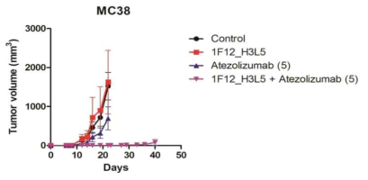 MC38 종양 모델에서의 개량 1F12 항체의 향상된 효력 확인