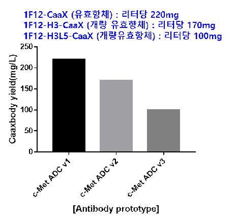후보 항체 (CaaX 변형항체)와 개량 항체 (CaaX 변형항체)의 생산 수율 비교 데이터