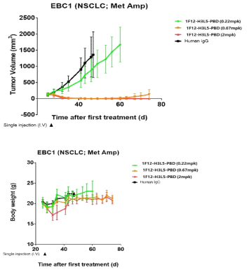 Single injection in vivo 효력 시험 : 1F12-H3L5-PBD (EBC-1 xenograft model)