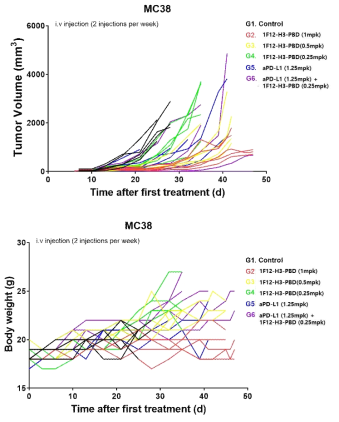 MC38 syngeneic mouse model에서의 면역항암제와 의 in vivo 병용 치료 결과 (종양 크기, 개체 무게)
