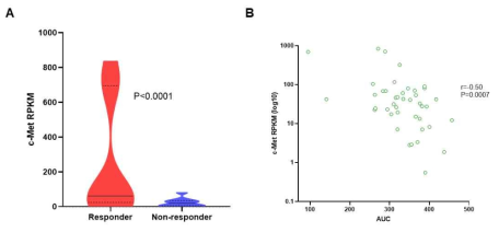 c-Met의 mRNA 레벨과 1F12-PBD 약물 반응 상관 관계 분석