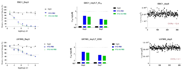 2D HCS 시스템 기반 항체-약물 접합체 세포 독성 분석법 최적화 (2Day; EBC-1, U87MG)