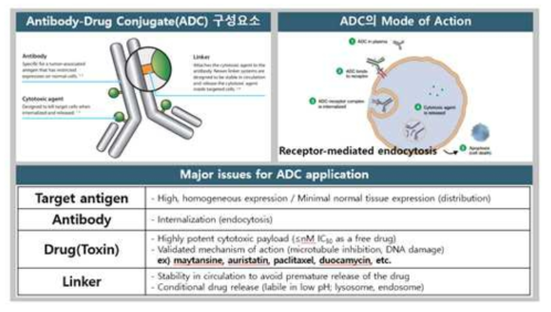 Antibody-Drug Conjugates의 구성