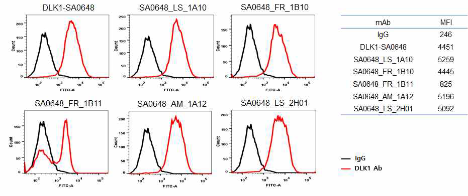 DLK1-SA0648 인간항체 변이체 5종의 세포 결합 비교 분석