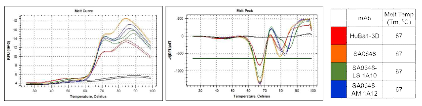 선별된 DLK1-SA0648 인간항체 변이체 2종의 thermostability 확인