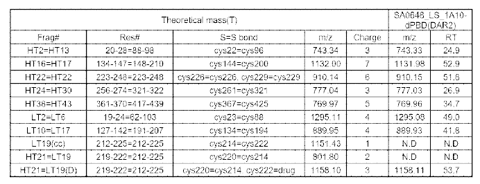 SA0648_LS_1A10-dPBD(DAR2)의 이황화 결합 분석