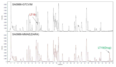SA0986-MMAE(DAR4)의 중쇄와 경쇄의 peptide mapping
