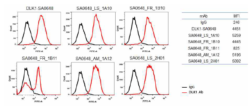DLK1-SA0648 인간항체 변이체 5종의 세포 결합 비교 분석