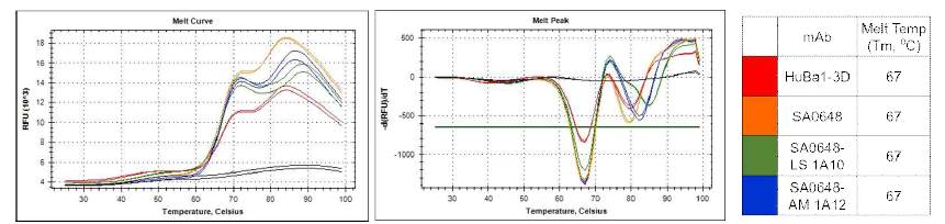 선별된 DLK1-SA0648 인간항체 변이체 2종의 thermostability 확인