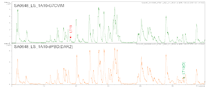 SA0648_LS_1A10-dPBD(DAR2)의 중쇄와 경쇄의 peptide mapping