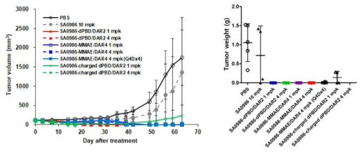 MIA PaCa-2-DLK1 CDX 모델에서 종양 성장 변화 (1차)