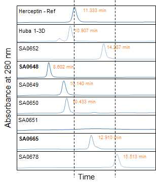 소수성 상호반응 크로마토크래피를 통한 항체의 소수성 확인