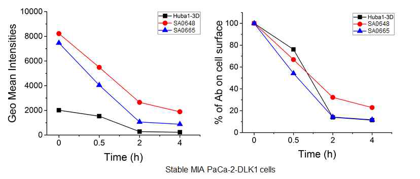 FACS 분석 통한 DLK1 항체의 internlaization 확인: stable MIA-PaCa2-DLK1 세포