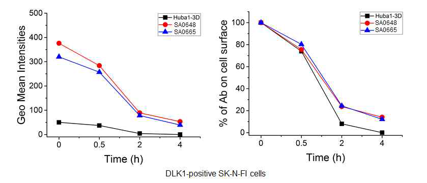 FACS 분석 통한 DLK1 항체의 internalization 확인: SK-N-FI 세포