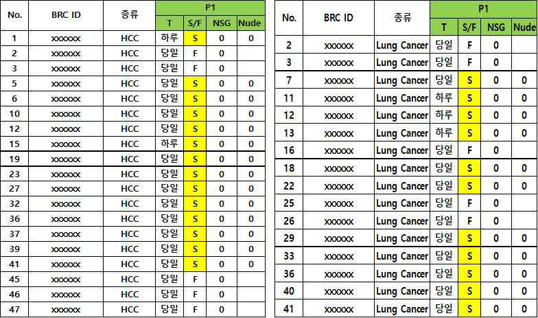 간암, 폐암 환자 암 조직 이식 현황 (Nude 마우스)