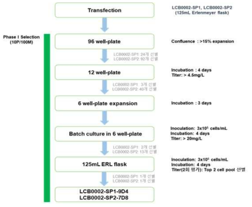 Flow chart of cell line development for LCB0002