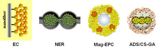 효소 활성의 안정성이 확보된 다양한 나노바이오촉매 소재