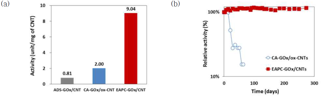 분산성 탄소나노튜브를 이용한 나노바이오촉매 소재의 활성 (a) 및 안정성 (b) 비교