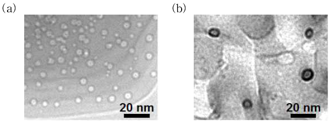 (a) SECN-CT 및 (b) RM-SECN-CT의 극저온 투과 전자 현미경 이미지