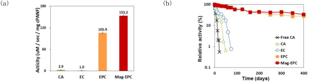 폴리아닐린 나노섬유에 고정화된 탄산무수화효소의 초기 활성 (a) 및 안정성 (b)