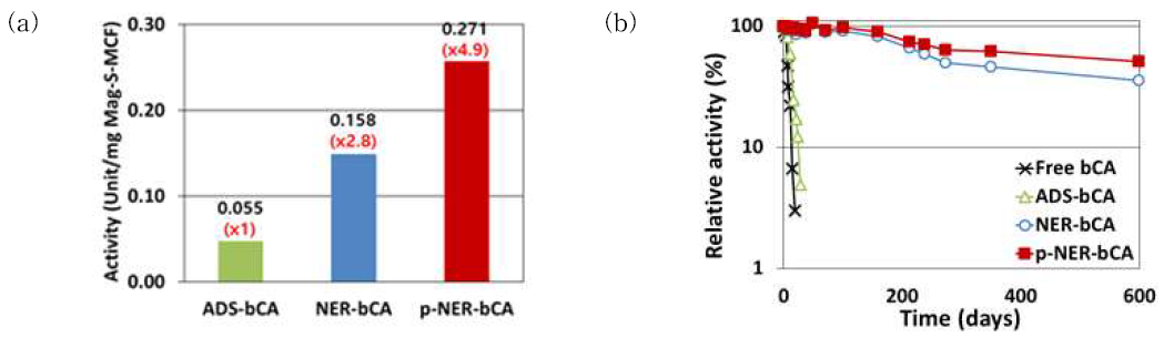 석출 기반 나노효소반응기로 고정화된 탄산무수화효소의 활성 (a) 및 안정성 (b)