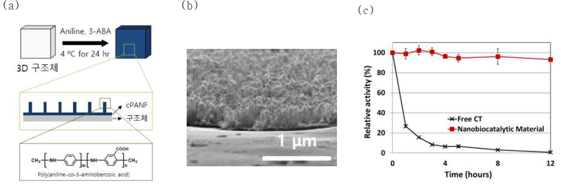 나노필라 합성 모식도 (a) SEM 이미지 (b) 및 나노바이오촉매 소재의 안정성 (c)